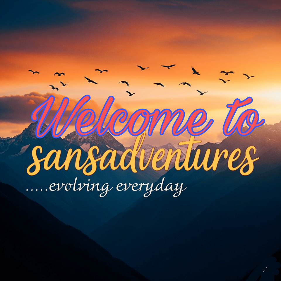 my unplanned adventures