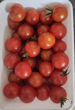 Cherry tomatoes